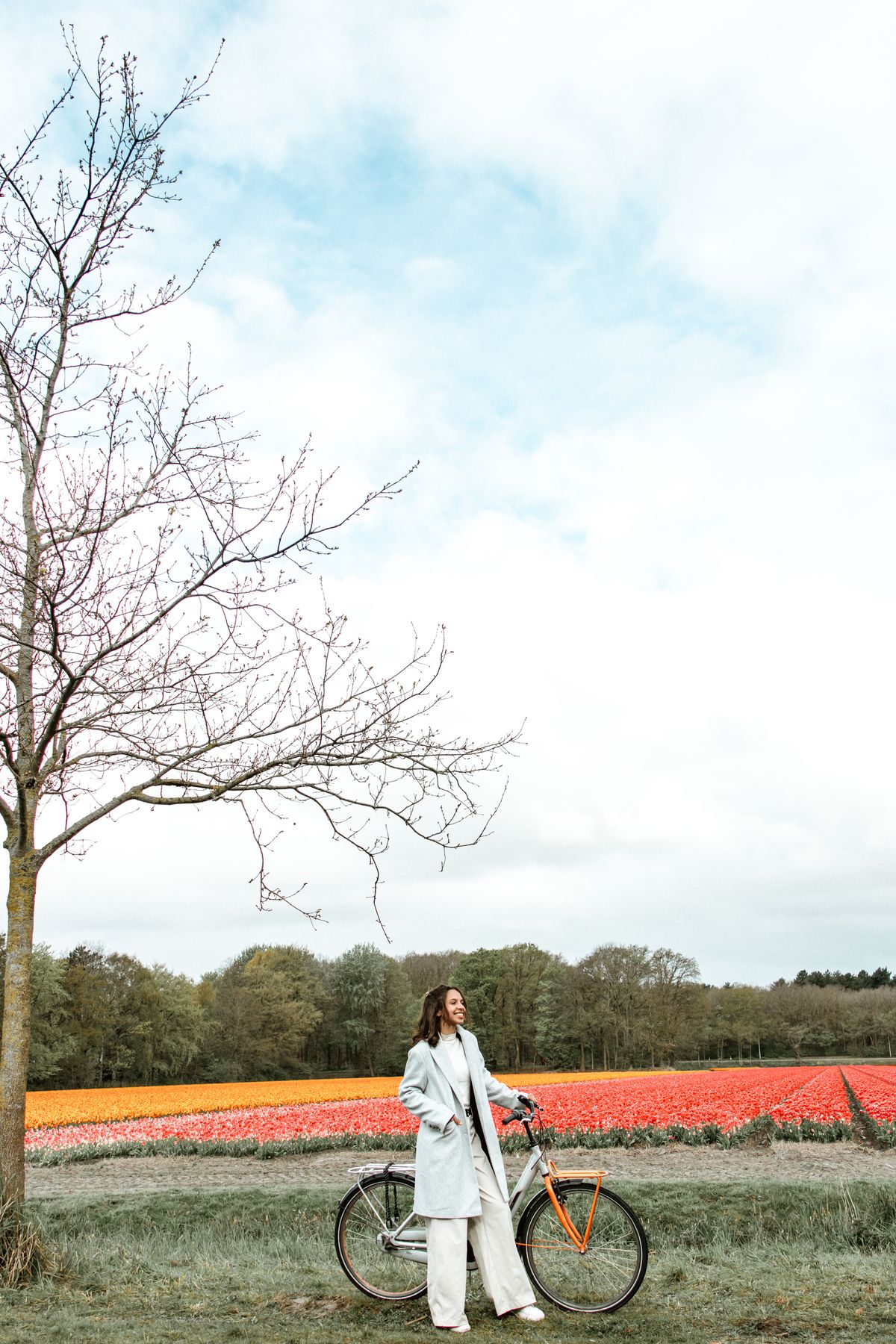 Fietsen door de bloembollenvelden van de Bollenstreek