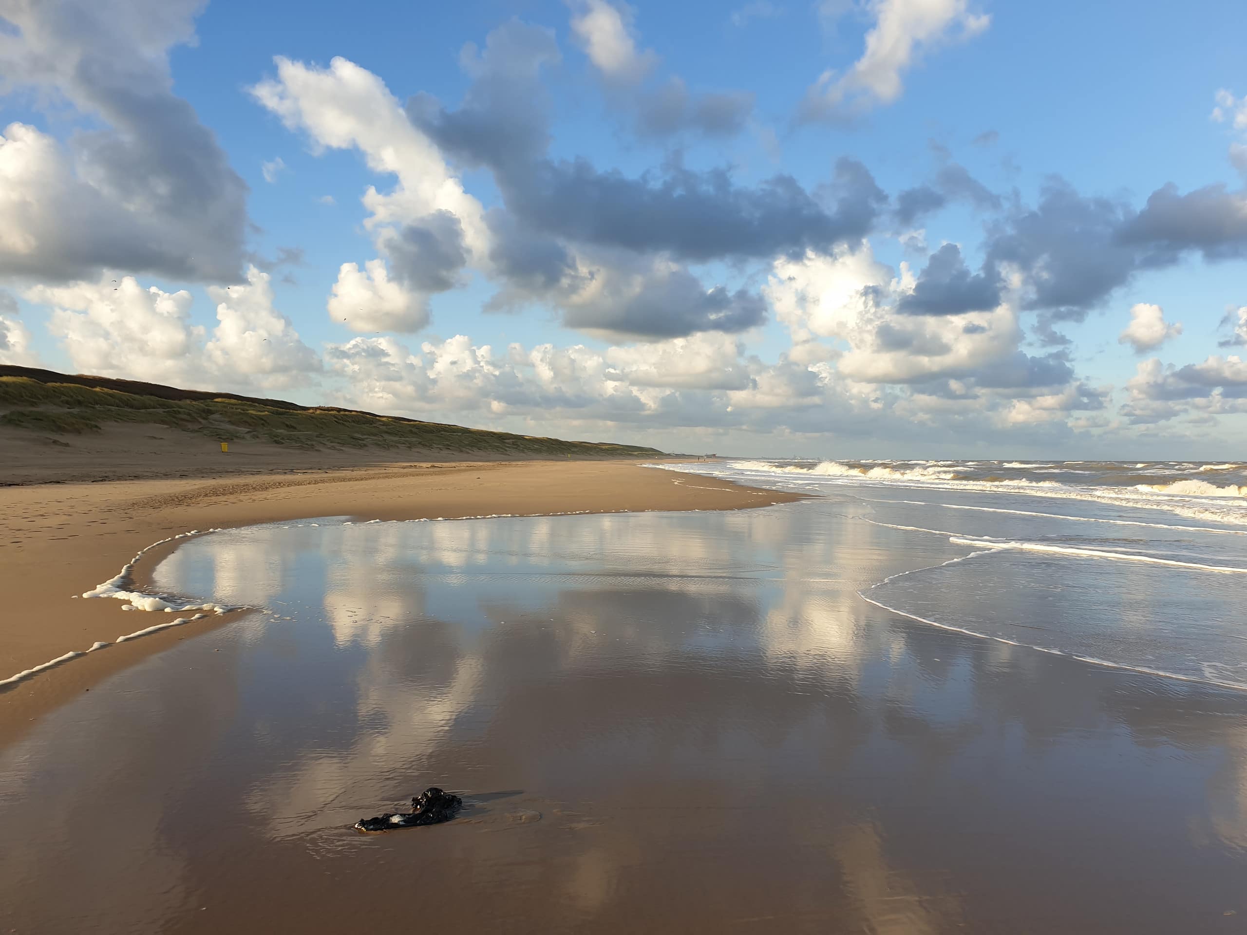 Het strand van Noordwijk aan Zee, vlakbij Little Lodge